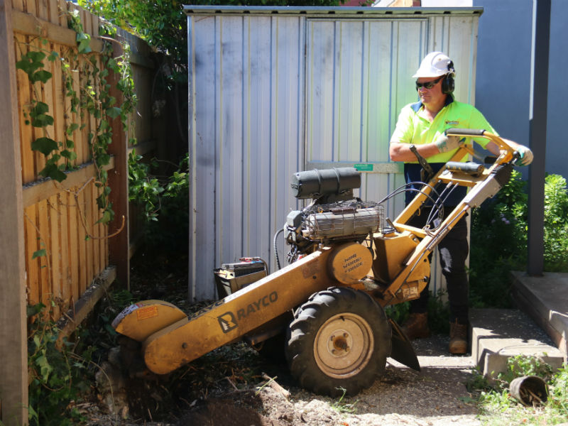 We are able to tackle the most difficult tree stumps with the use of high quality large and small stump grinding equipment and highly experienced and qualified stump removal specialists.
