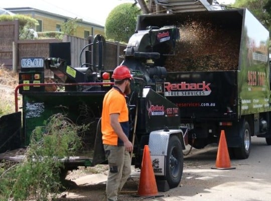 Tree Removal Services in Badger creek